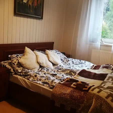 Szczyrk Mountainski Apartament Экстерьер фото