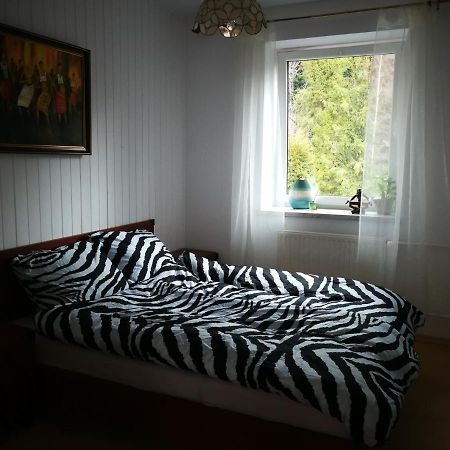 Szczyrk Mountainski Apartament Экстерьер фото
