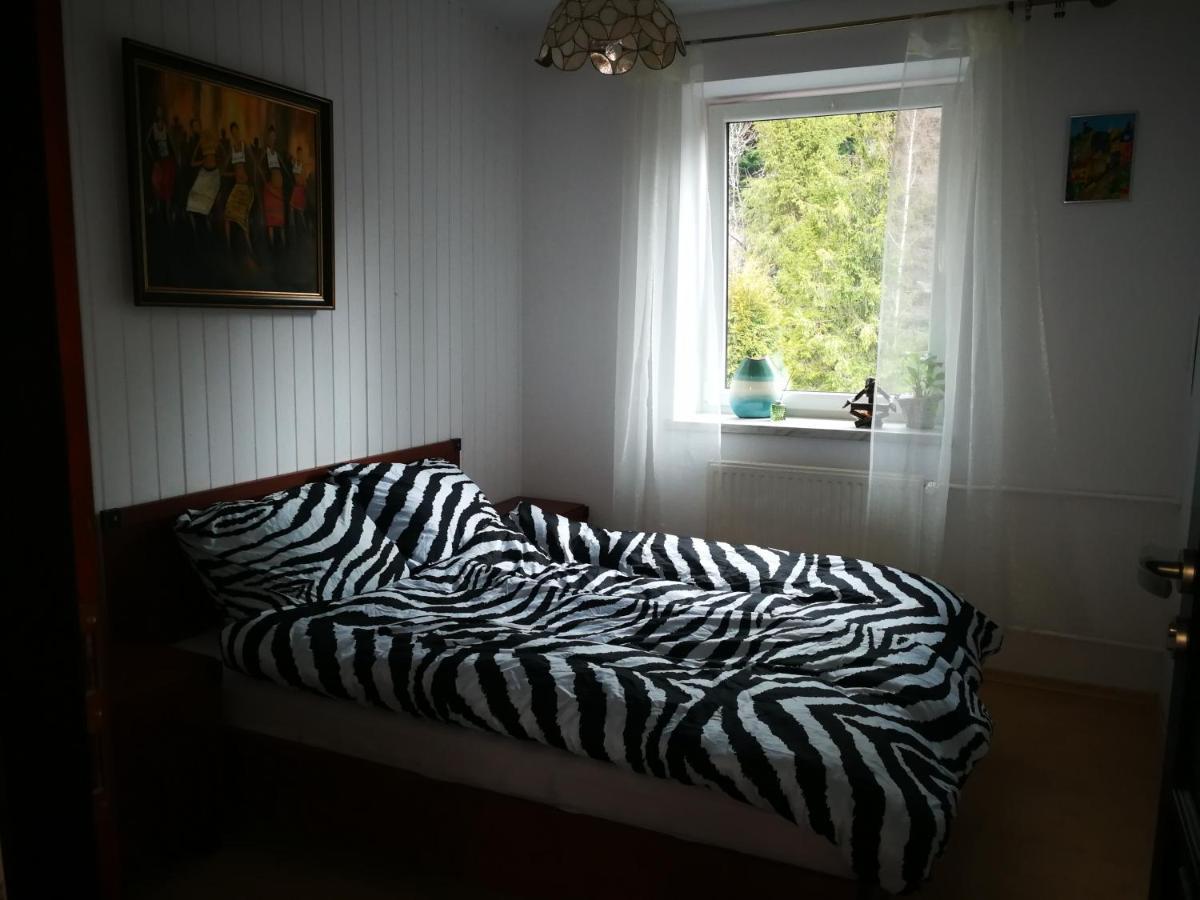 Szczyrk Mountainski Apartament Экстерьер фото